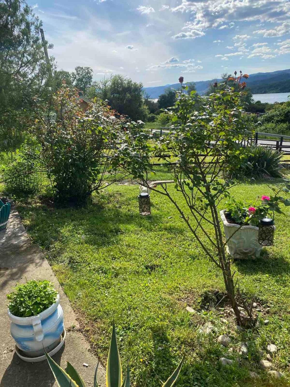 Tina Apartment Tekija  ภายนอก รูปภาพ